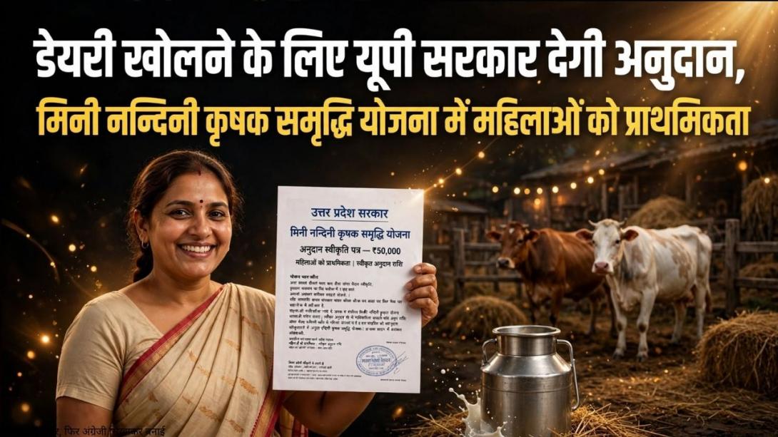10 देसी गायों की डेयरी खोलने पर यूपी सरकार देगी 11.80 लाख तक मदद, जानें कौन कर सकता है आवेदन